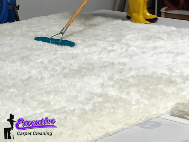 Wool Rug & Carpet Cleaning
